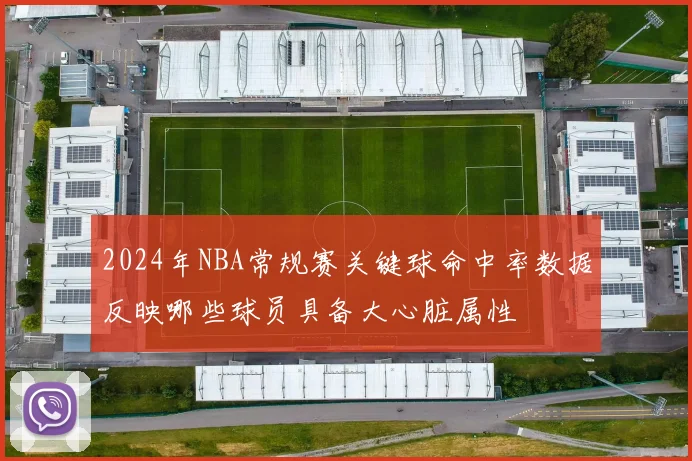 2024年NBA常规赛关键球命中率数据反映哪些球员具备大心脏属性
