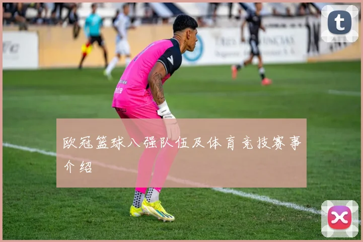 欧冠篮球八强队伍及体育竞技赛事介绍