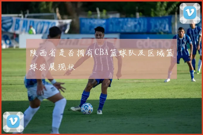 陕西省是否拥有CBA篮球队及区域篮球发展现状