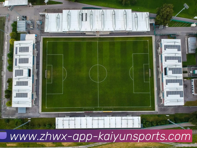 开云体育发展历程